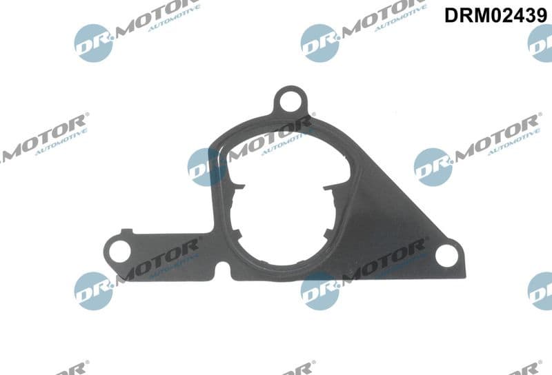 Gasket, vacuum pump DRM02439