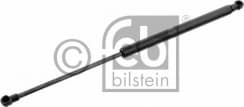 Gas Spring, boot/cargo area 30351
