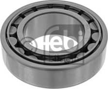Wheel Bearing 04843