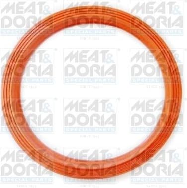 Seal, fuel tank cap GSK09