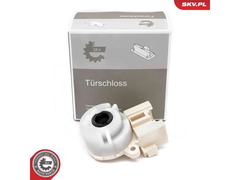 Ignition Switch 65SKV035