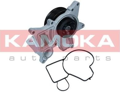 Water Pump, engine cooling T0298