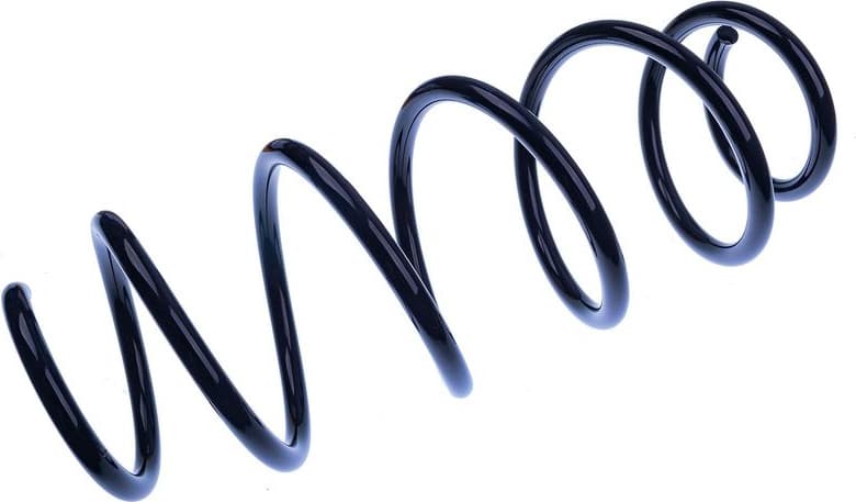 Suspension Spring D700458