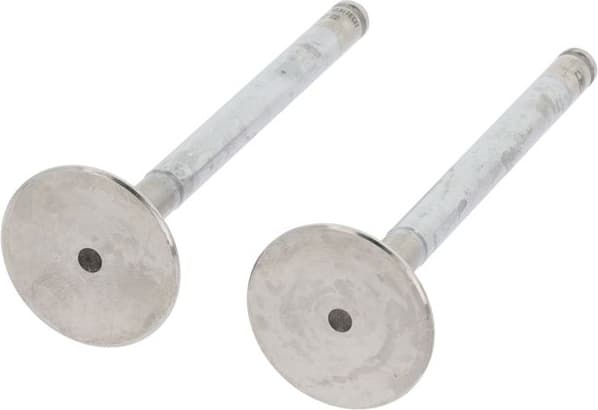 Exhaust Valve 550243B - image 3