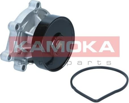 Water Pump, engine cooling T0299