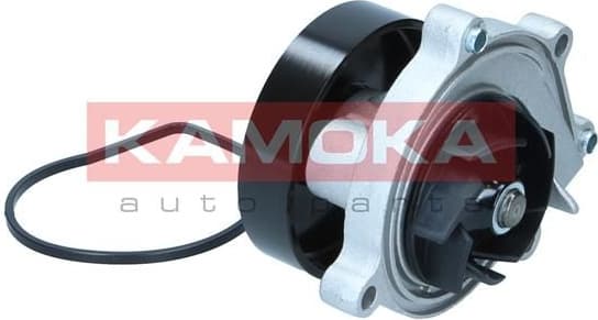 Water Pump, engine cooling T0299 - image 3