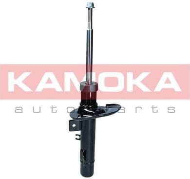 Shock Absorber 2001231