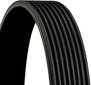 V-ribbed Belt 8PK1815