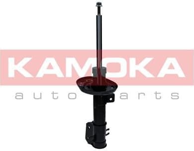 Shock Absorber 2000576
