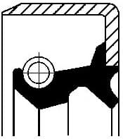 Shaft Seal, wheel hub 19029704B