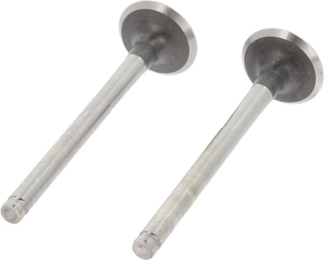 Exhaust Valve 550002B - image 2