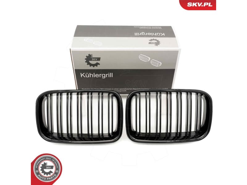 Radiator Grille 66SKV047