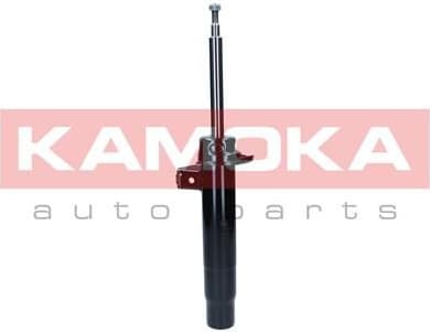 Shock Absorber 2000452