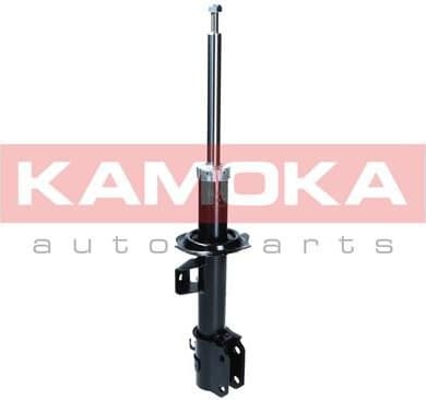 Shock Absorber 2001229