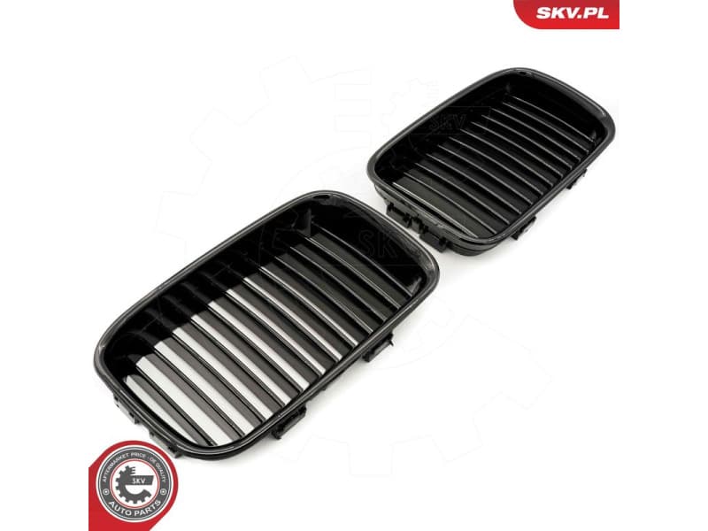 Radiator Grille 66SKV043 - image 2