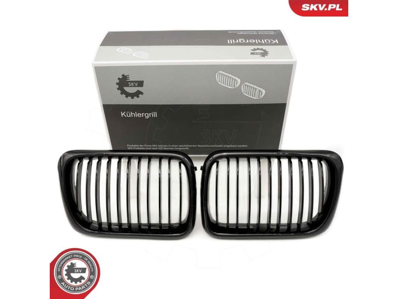 Radiator Grille 66SKV049