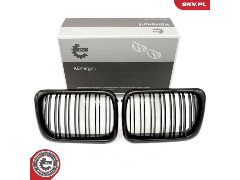 Radiator Grille 66SKV054