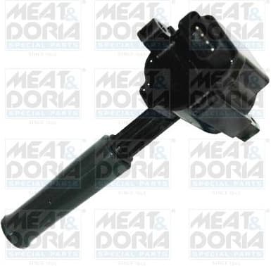 Ignition Coil 10733