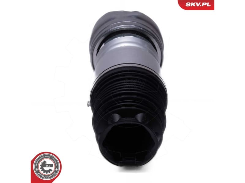Air Suspension Strut 58SKV079 - image 2