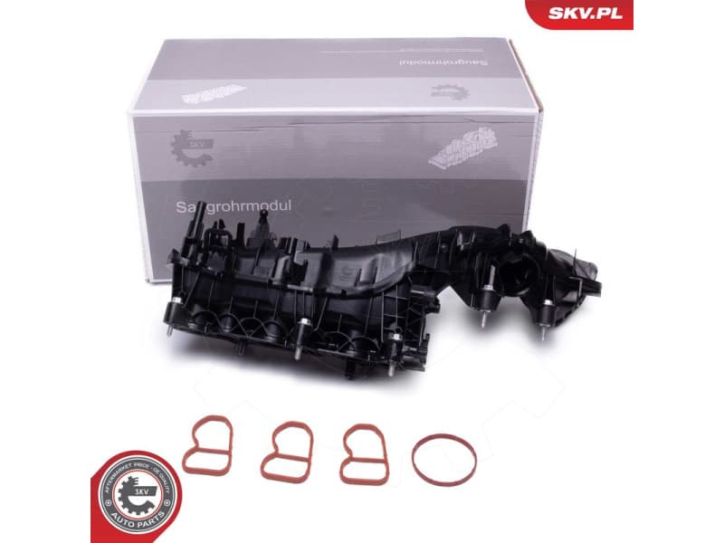 Intake Manifold Module 49SKV079