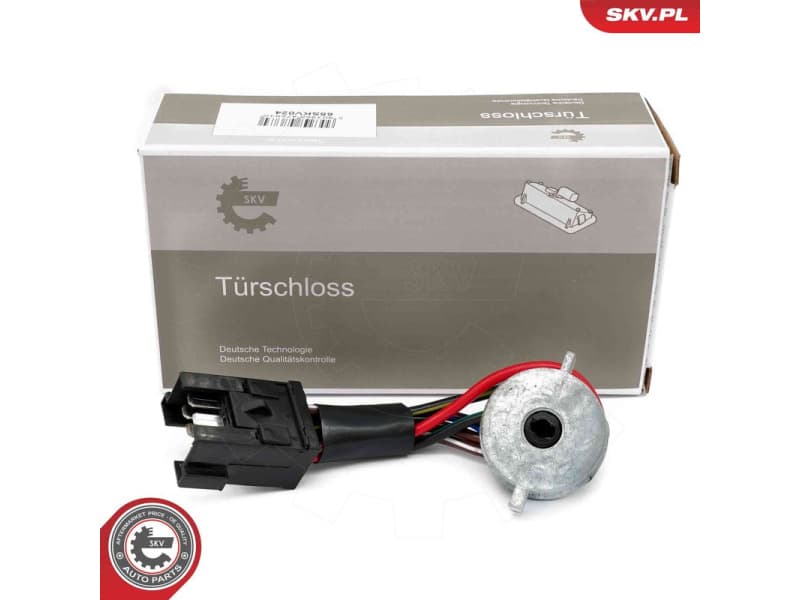 Ignition Switch 65SKV024