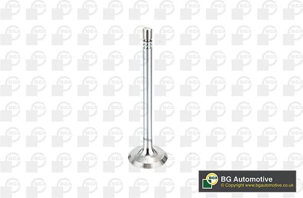 Intake Valve V164660