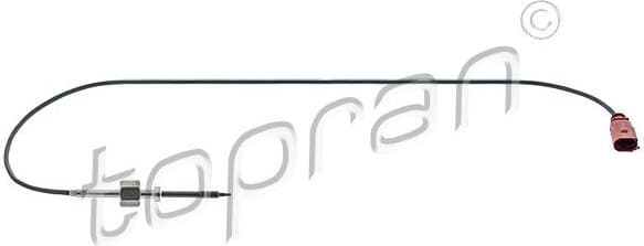 Sensor, exhaust gas temperature 117 551