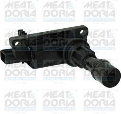 Ignition Coil 10674