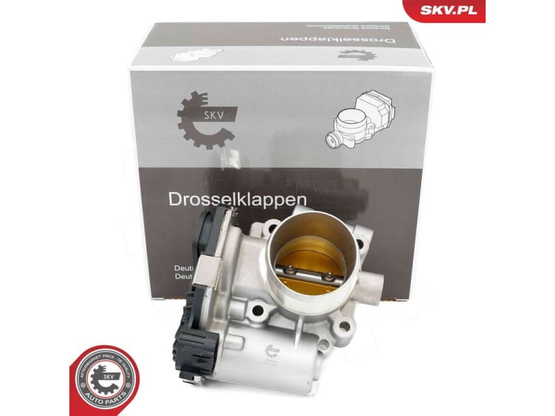 Throttle Body 12SKV127