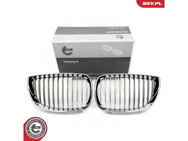 Radiator Grille 66SKV004