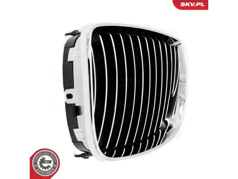 Radiator Grille 66SKV004 - image 9