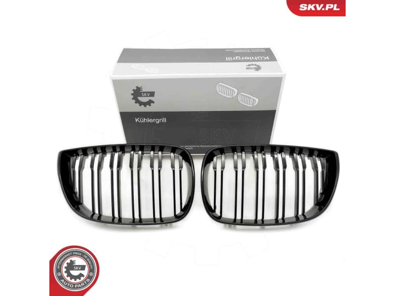 Radiator Grille 66SKV005