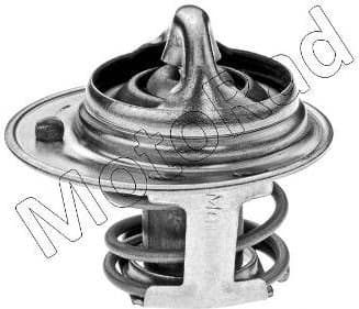 Thermostat, coolant 239-82K