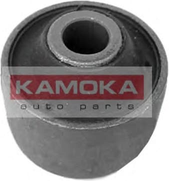 Mounting, control/trailing arm 8800068