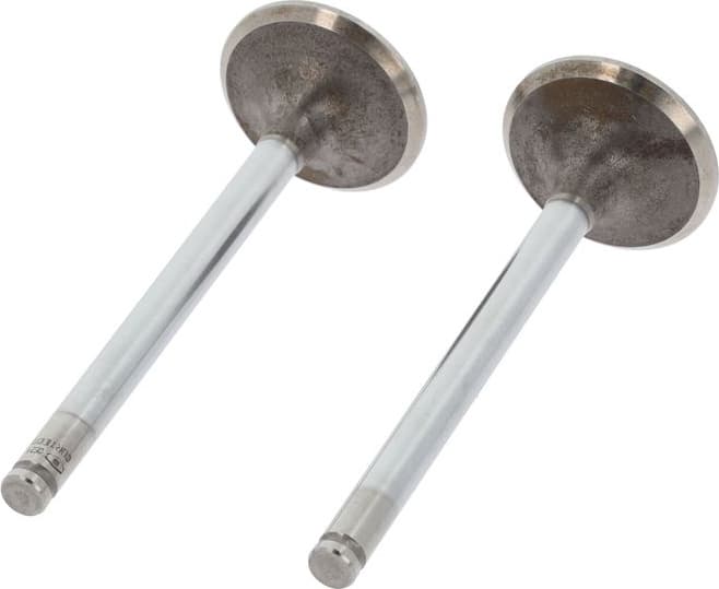 Intake Valve 550990B - image 2