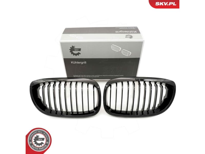 Radiator Grille 66SKV068