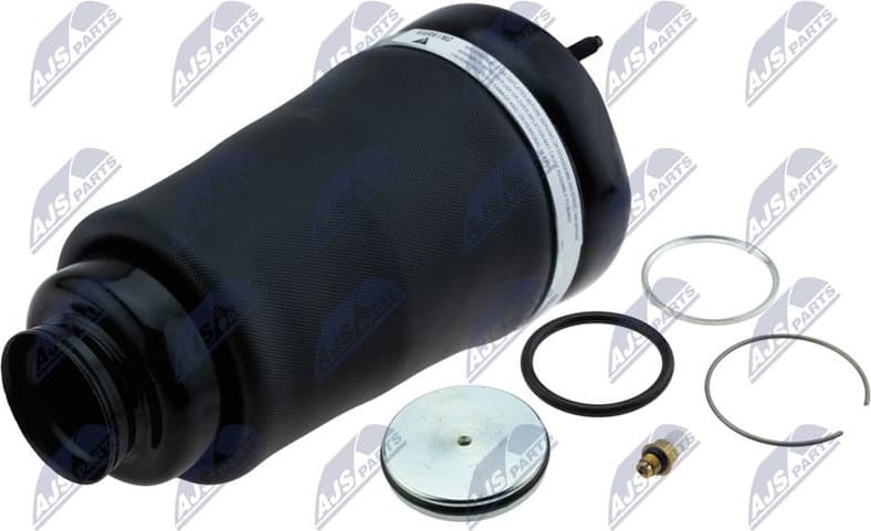 Air Suspension Strut EZC-ME-190