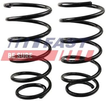 Suspension Set, springs FT12283K