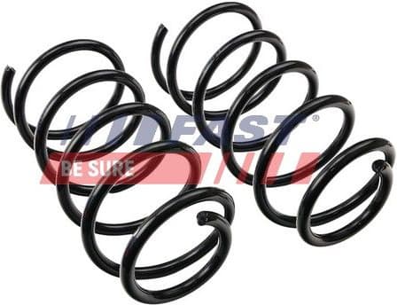 Suspension Set, springs FT12283K - image 2