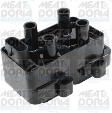 Ignition Coil 10336E