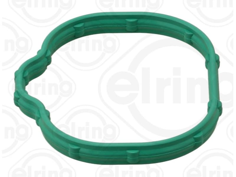 Gasket, intake manifold 711.700