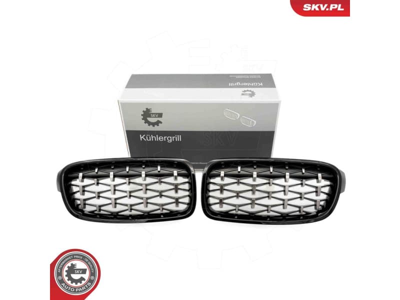 Radiator Grille 66SKV129