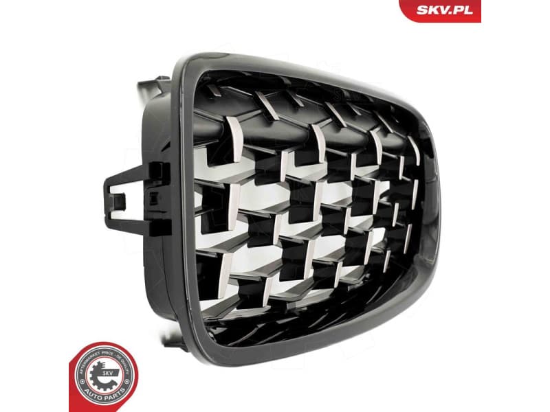 Radiator Grille 66SKV129 - image 6