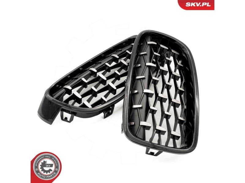 Radiator Grille 66SKV129 - image 8