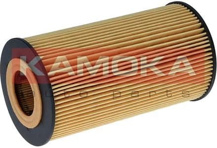 Oil Filter F129801