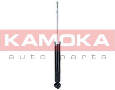 Shock Absorber 2001172