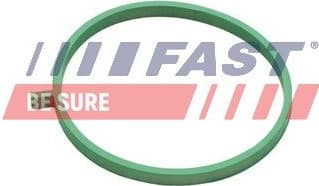 Gasket, intake manifold FT49472 - image 2