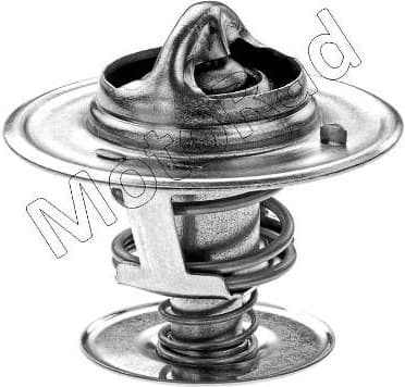 Thermostat, coolant 234-91JK