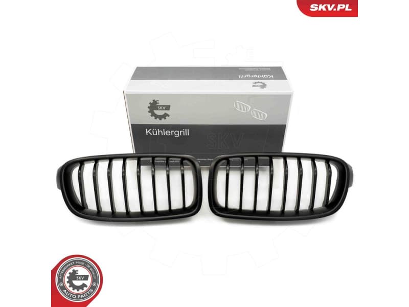 Radiator Grille 66SKV121