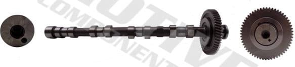 Camshaft T3331